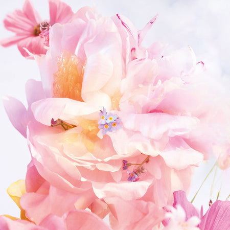 Dior Miss Dior Blooming Bouquet Eau de Toilette | Dillard's
